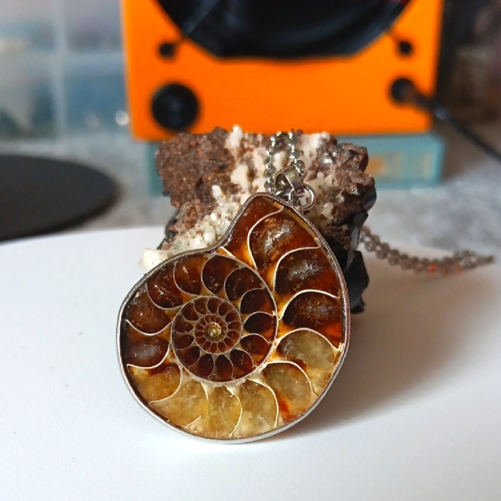 Ammonite Pendant Necklace